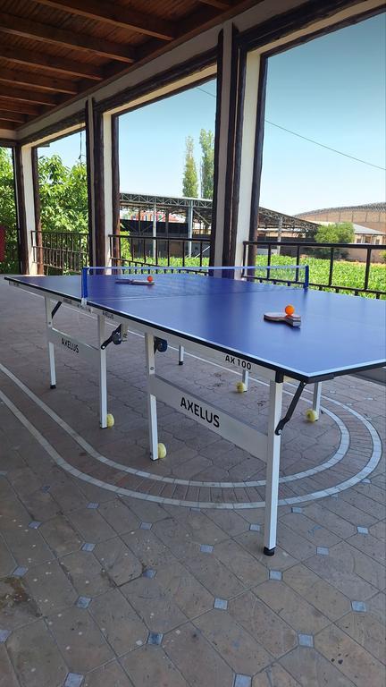 Ping Pong Фазо-Тулпор — фото 2