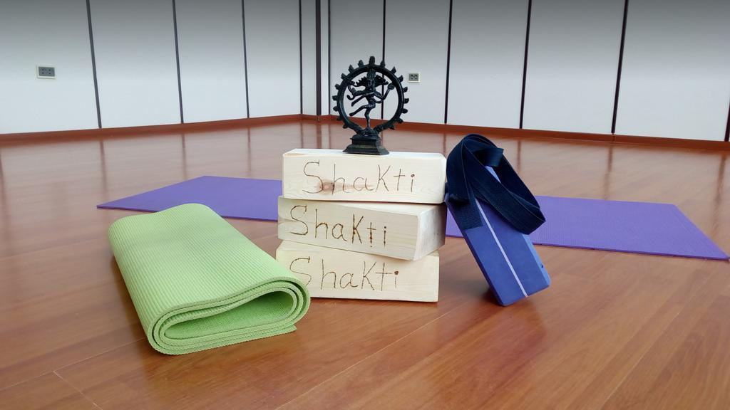 Shakti — фото 1