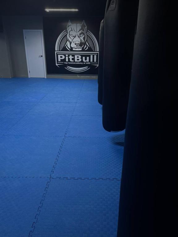 PitBull — фото 6