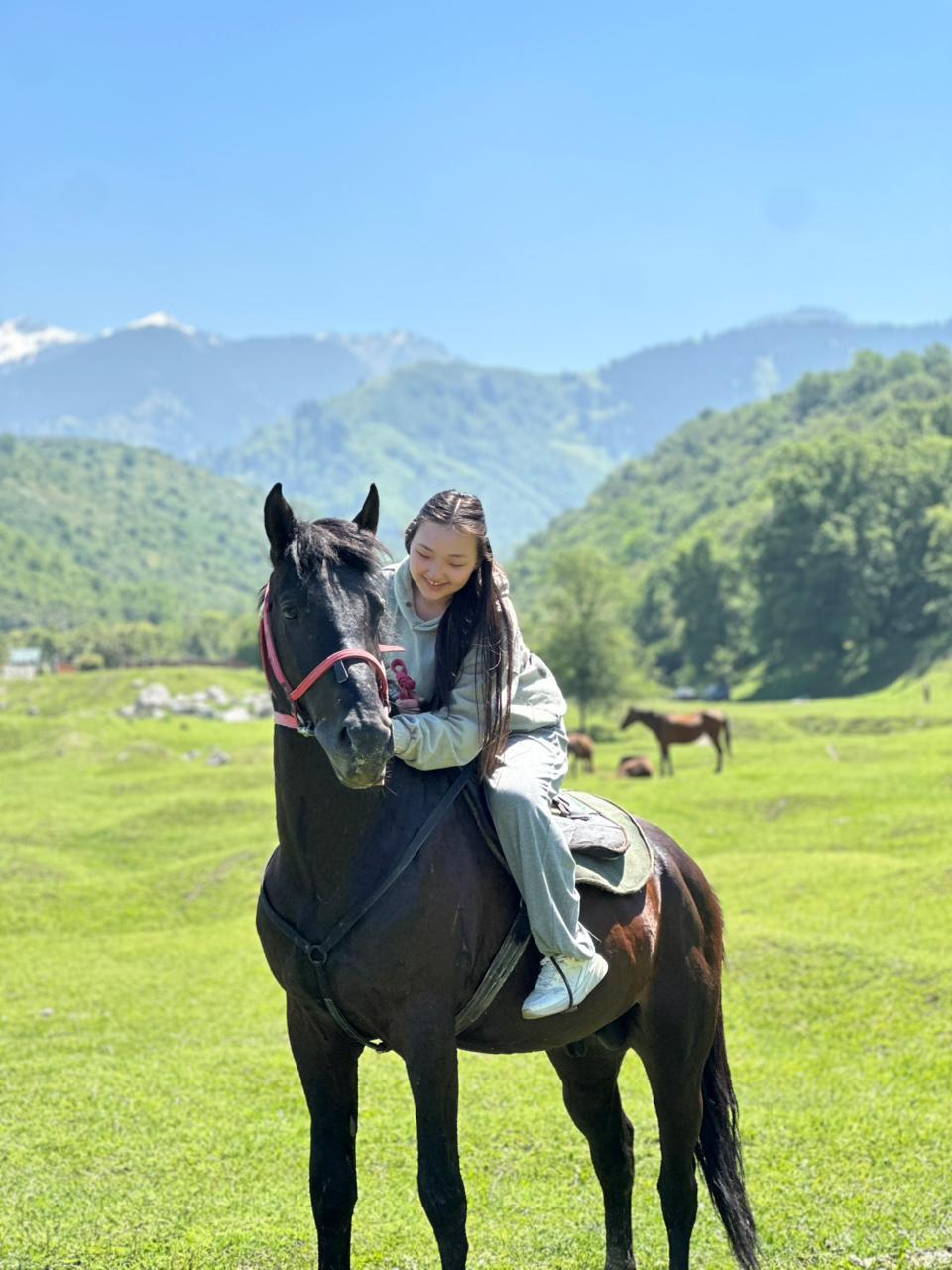 Tauran horses talgar studio image