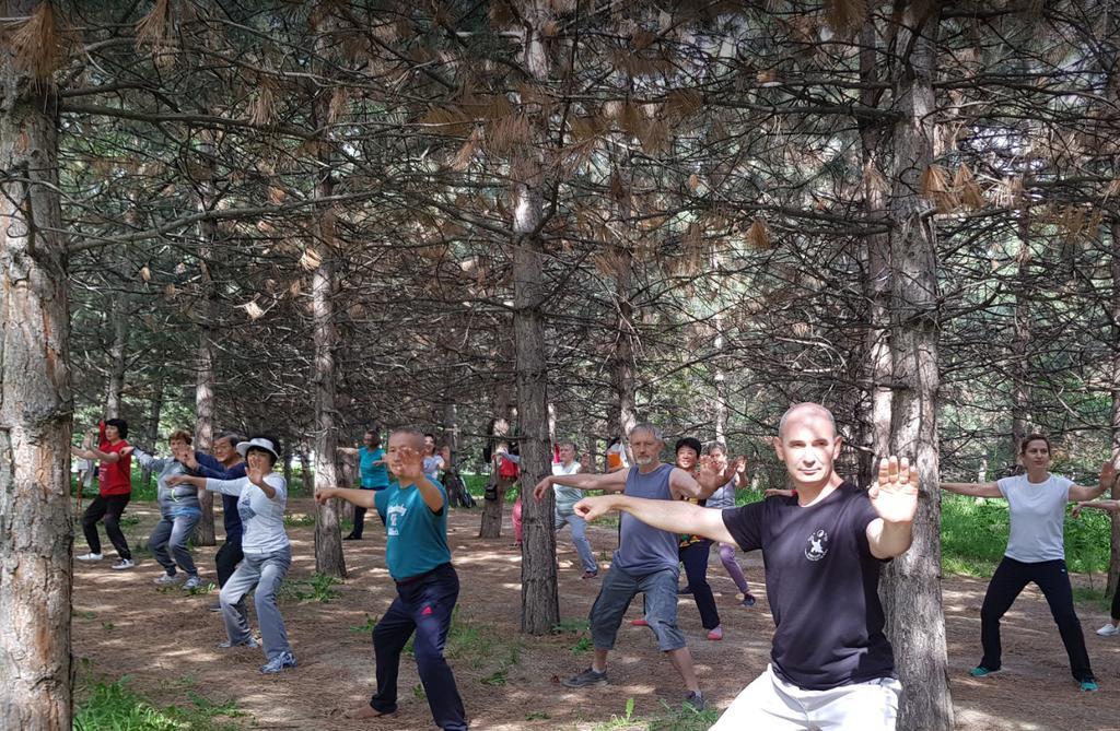 Белый Дракон — фото 2