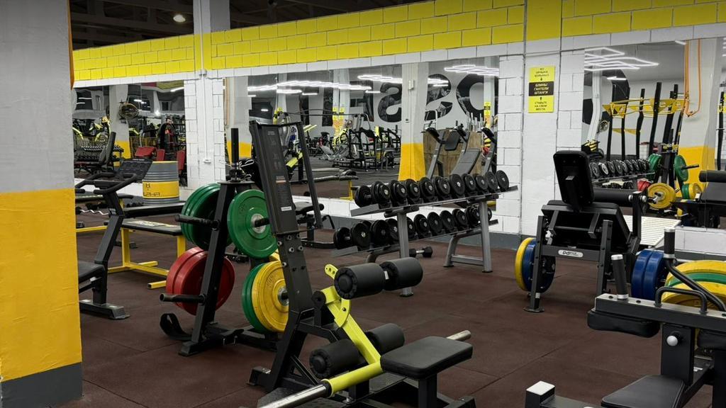 Alpha Gym — фото 27