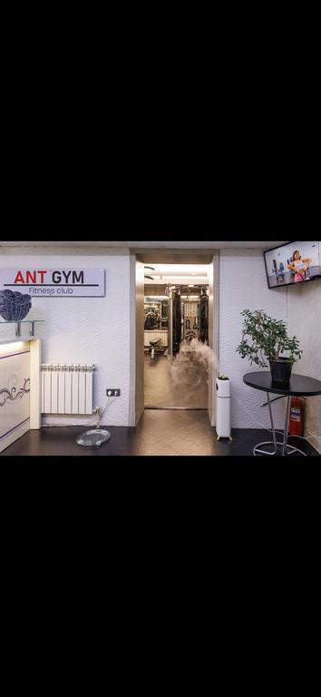 Ant Gym — фото 1