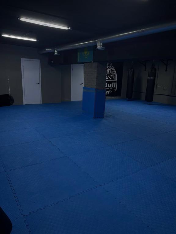 PitBull — фото 1