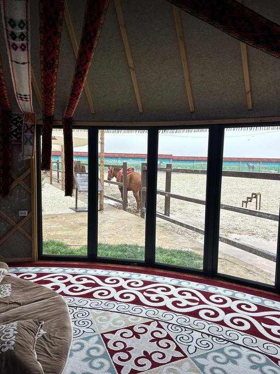 Arqymaq — фото 9