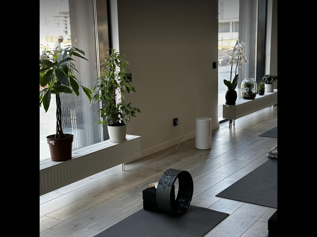 MadoYoga — фото 4